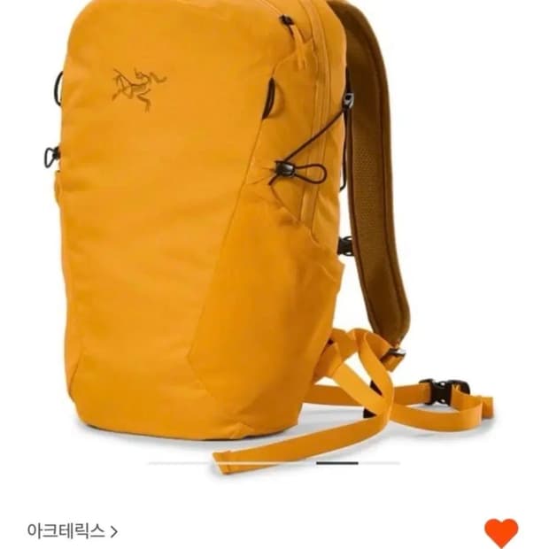 아크테릭스 맨티스 16