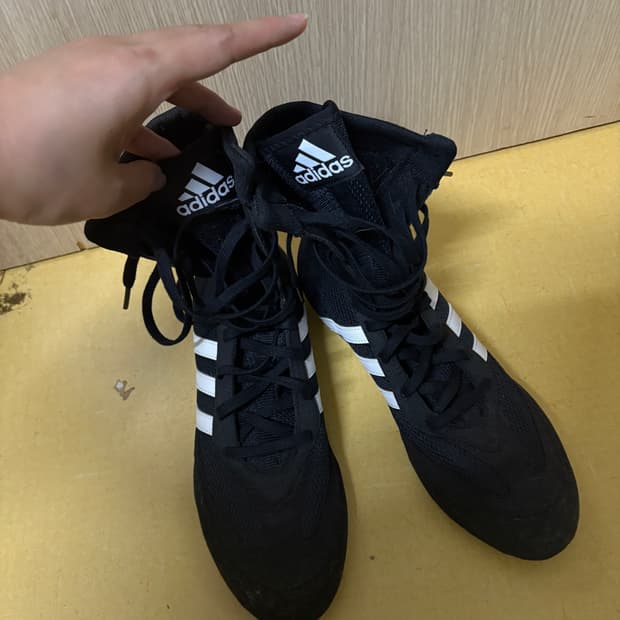 아디다스 복서 호그 255