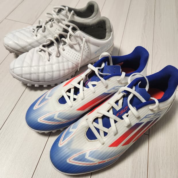 아디다스 F50 풋살화 F50 CLUB TF 24FW IF1348 사이즈