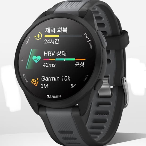 (미개봉) 가민 포러너 165 블랙 43mm