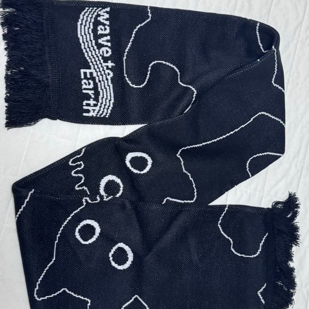 웨이브투어스 wave to earth 콘서트 머플러