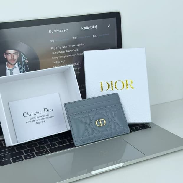 디올 카로 5 슬롯 카드 홀더 서플 까나쥬 카프스킨 클라우드 블루