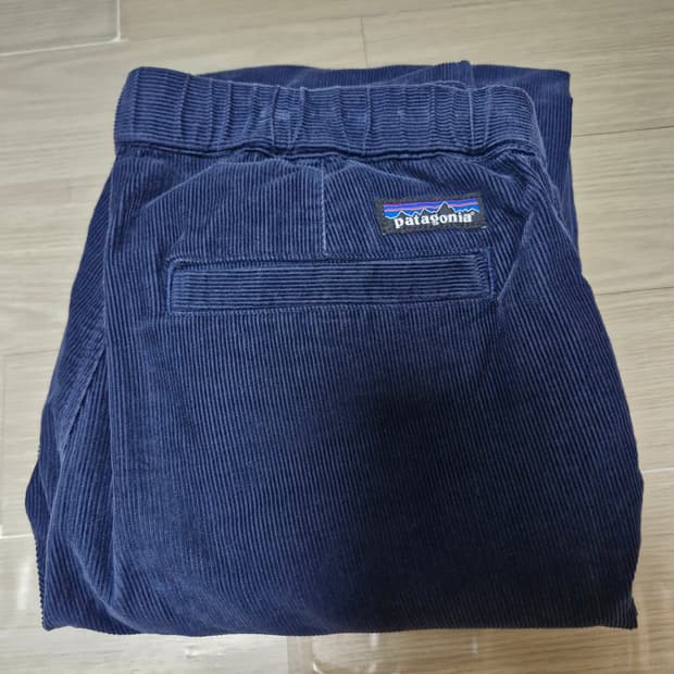(L) 19FW 파타고니아 오가닉 GI 코듀로이 팬츠