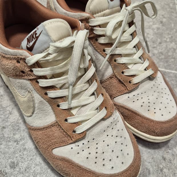 나이키 덩크로우 커리260