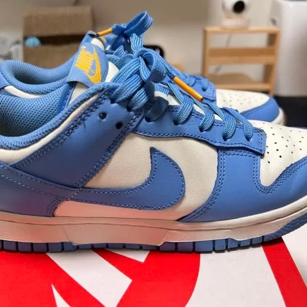 나이키 덩크로우 코스트 240 판매