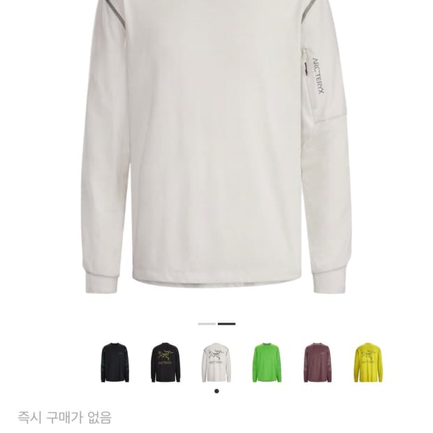 아크테릭스 시스템 A 코팔 롱슬리브 버드 티셔츠 초크 M