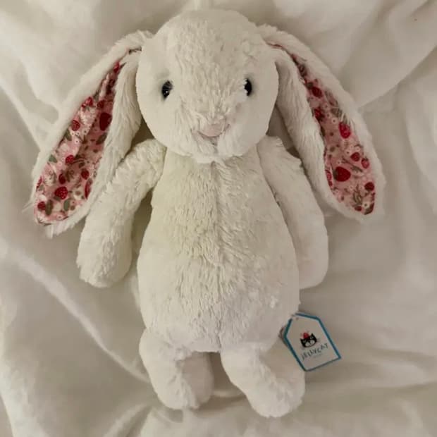 젤리캣 블로썸 크림 버니 베리 M 애착인형