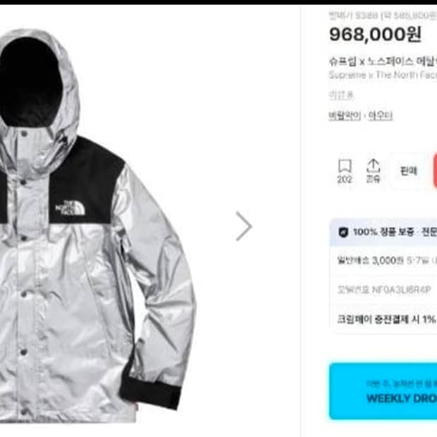 슈프림×노스페이스 메탈릭 마운틴 파카 바람막이 자켓 100/L