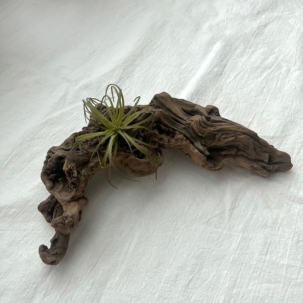 wood object 044