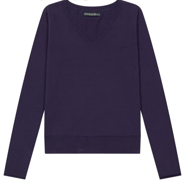 구해요!!) 코이세이오 038 브이넥니트 퍼플