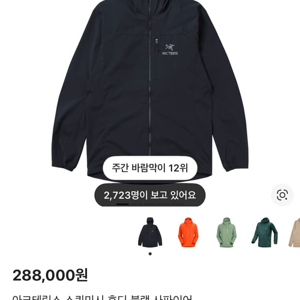 아크테릭스 스쿼미시 후디 블랙 사파이어