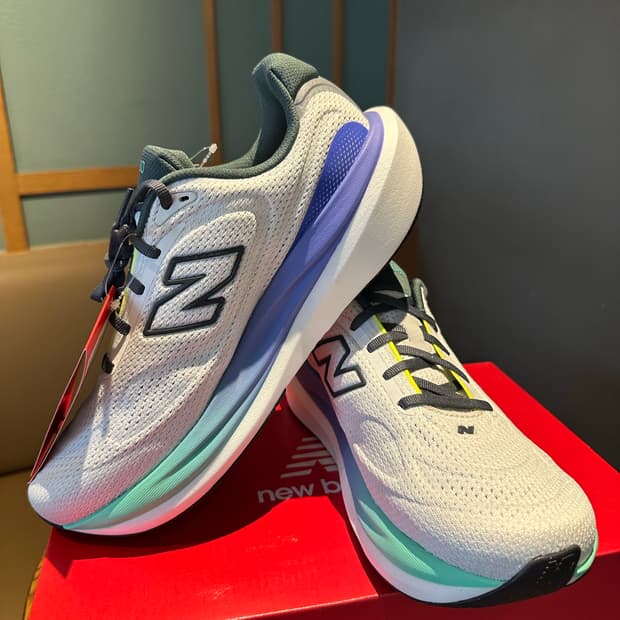 뉴발란스 1080 v15 [270]