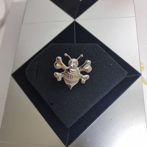 스투시 X 디올 콜라보 해골 꿀벌 브로치