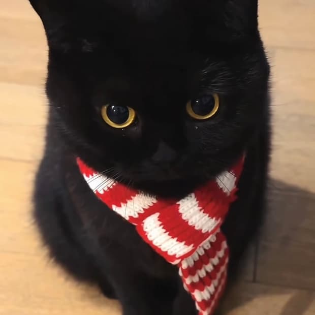 oldness님 거래창