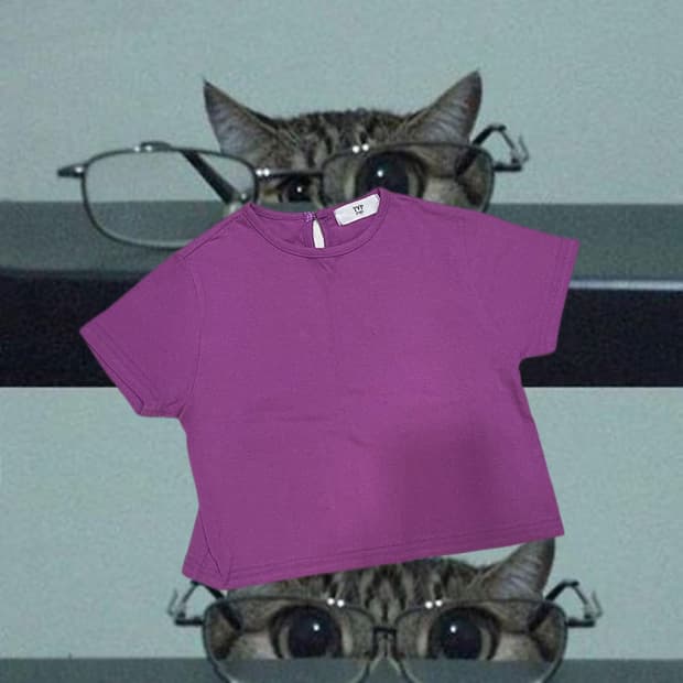 코튼 크롭 반팔