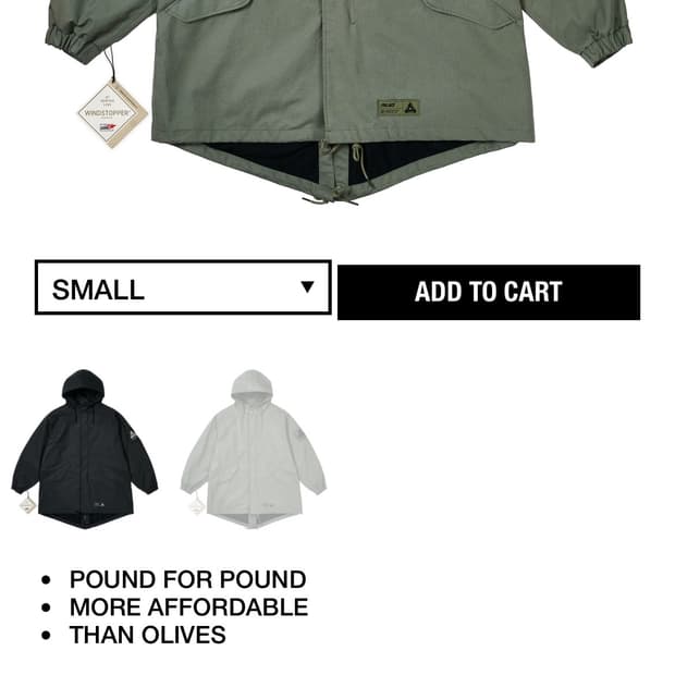 Palace 25fw 고어텍스 p51 파카