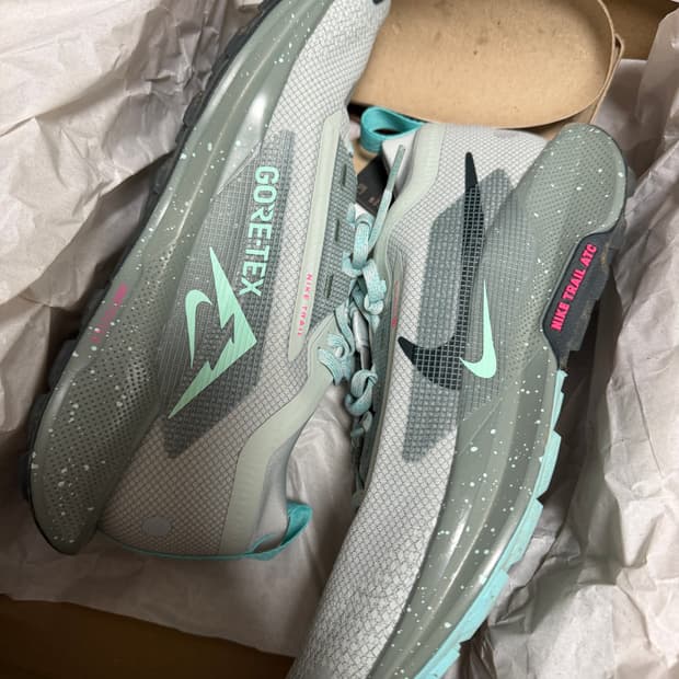 나이키 페가수스 트레일 4 GTX 고어텍스 