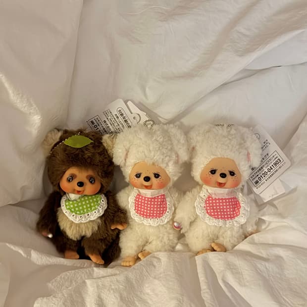 몬치치 토모다치 너구리 양 타누 키링