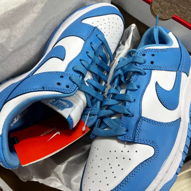 나이키 덩크로우 유니버시티 블루 265