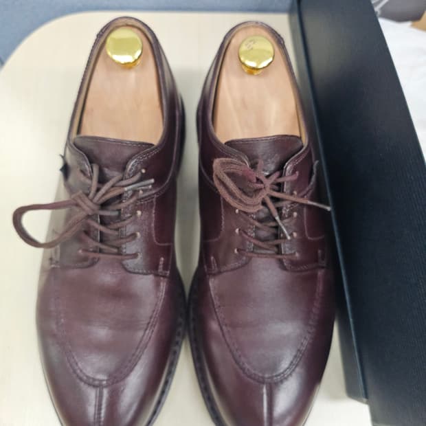 파라부트 아비뇽 6.5(255~260) 카페