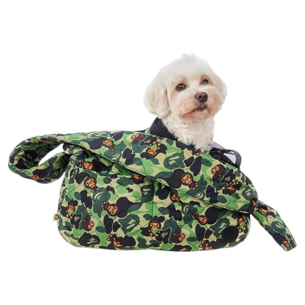 베이프 마일로 펫 캐리어