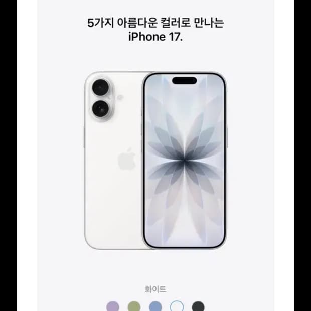 번장아이폰17