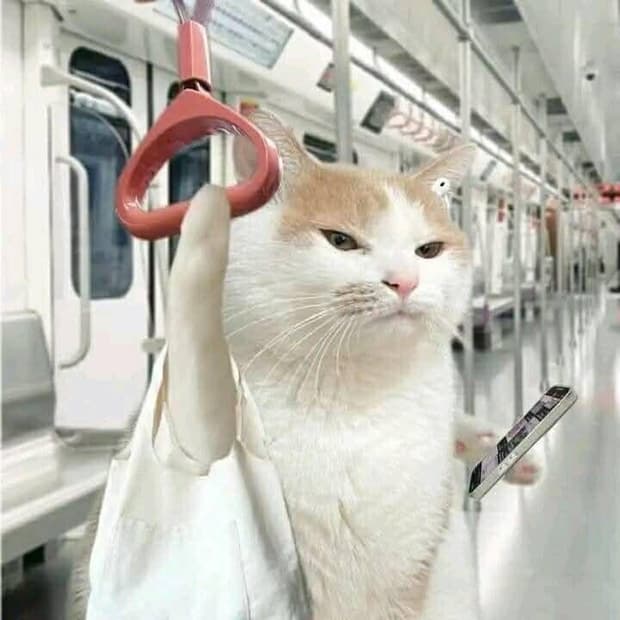 폭파 전 판매인증