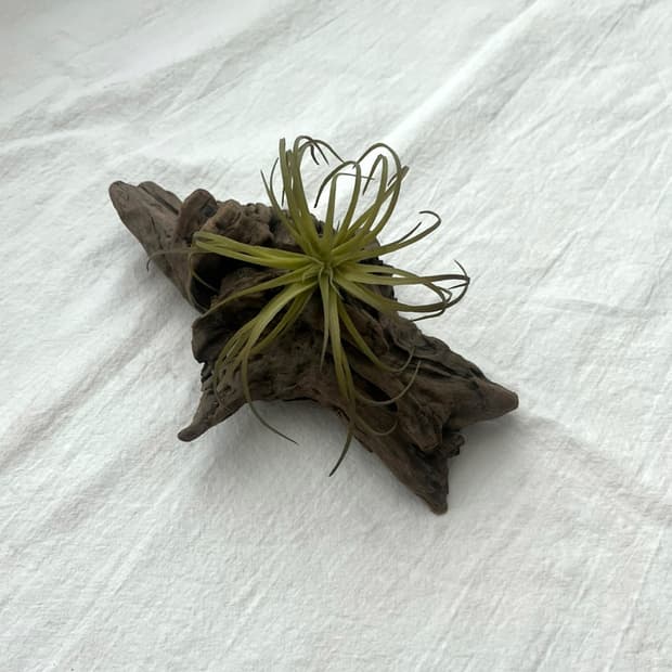 wood object 042