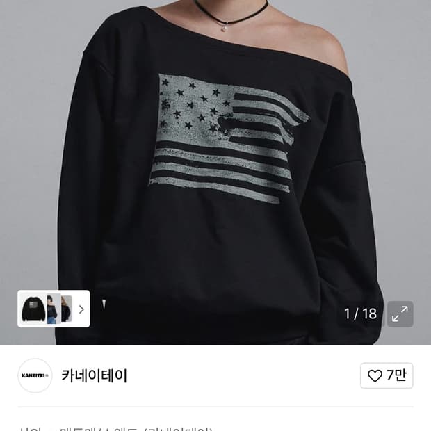 카네이테이의 THE STARS AND STRIPE CROP CREWNEC