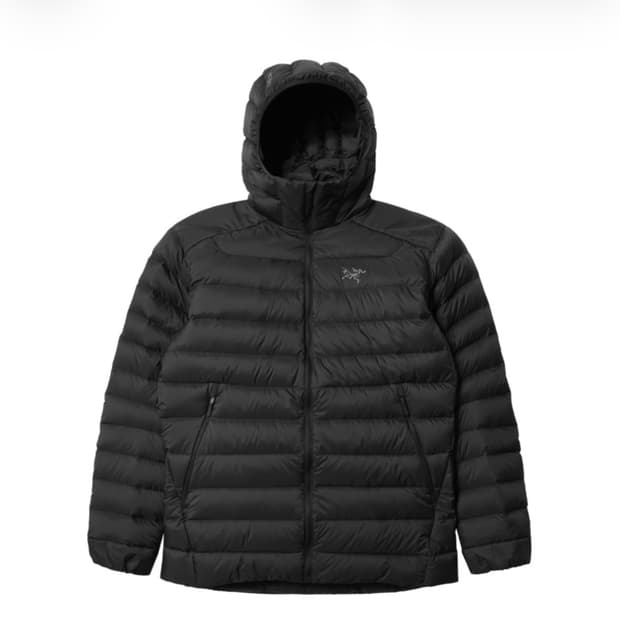 아크테릭스 세륨 L 새상품