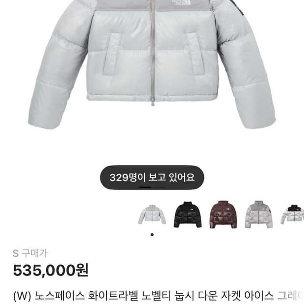 W 노스페이스 화이트라벨 노벨티 눕시 다운 자켓 아이스 그레이