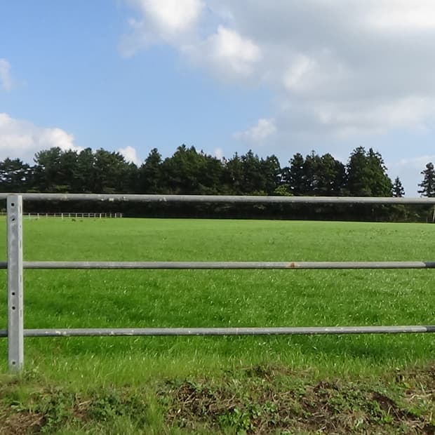 *fkjiaa님 개인결제창 (미니도트) 💙*