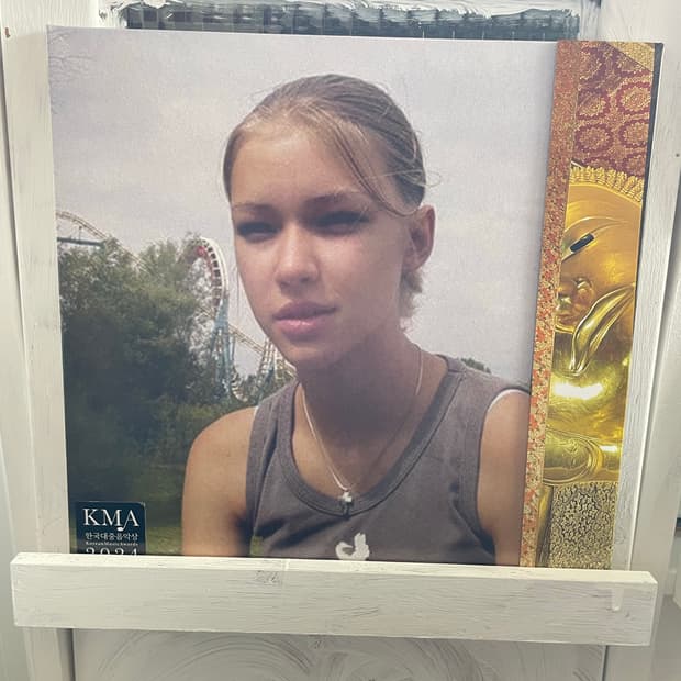 빈지노 LP - 노비츠키