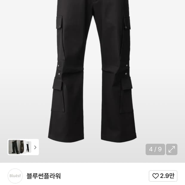 블루썬플라워카고2