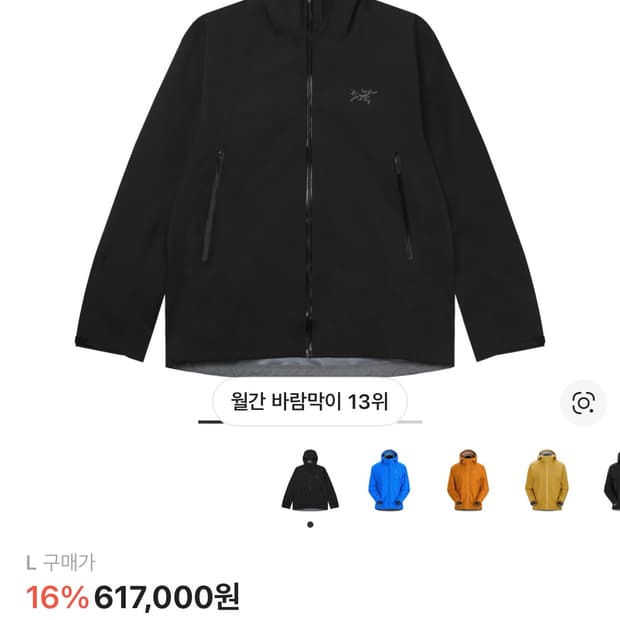 아크테릭스 베타 바람막이 