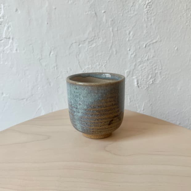Vtg jpn cup