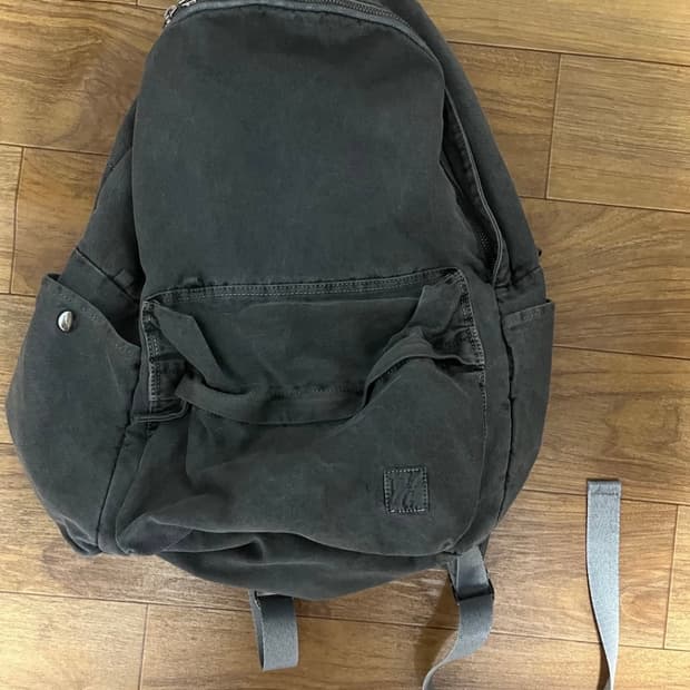 해칭룸 다이드 백팩