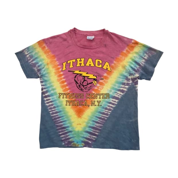 Hanes Ithaca NY Fitness Center T-shirt