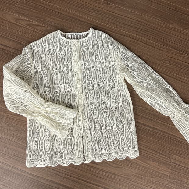 시스루블라우스