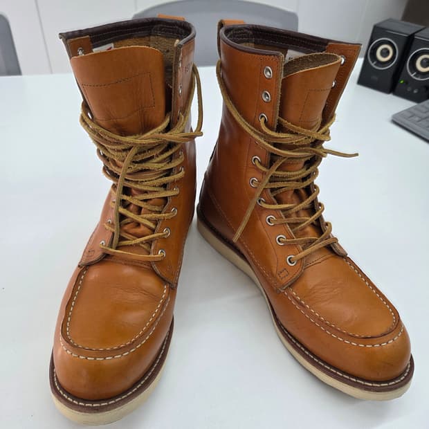 레드윙 9877 아이리시세터 9.5d