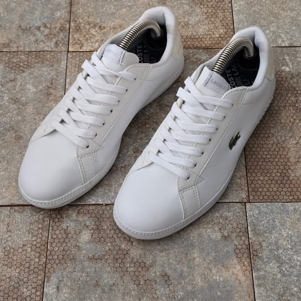 (230)라코스테 그레쥬에이트