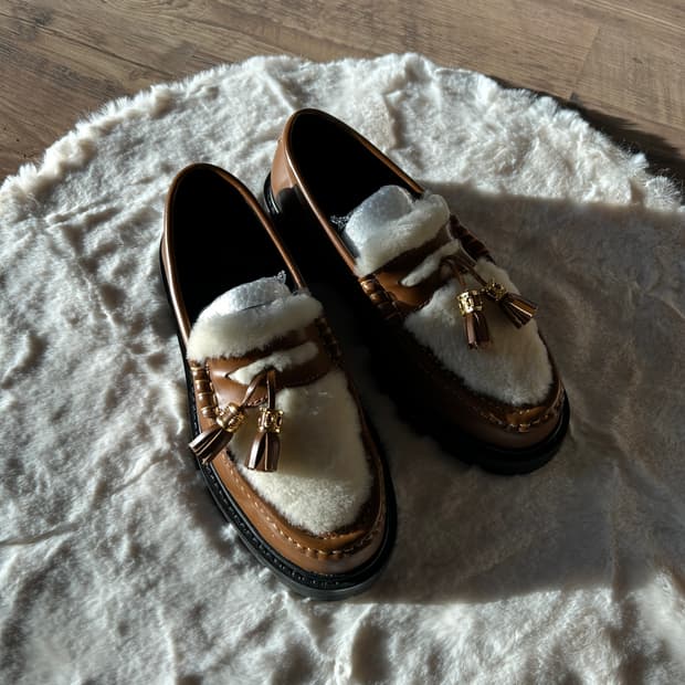 셀린느 시어링 테슬 로퍼