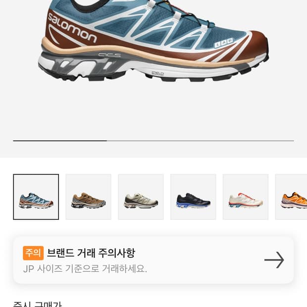 살로몬 xt-6 에게안 블루 톨토이즈 쉘