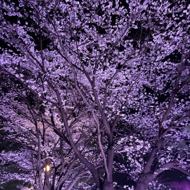 결제창