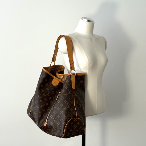 Louis Vuitton Monogram Delightful Hobo 