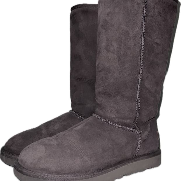 어그 클래식 톨2 초코 8사이즈(250)