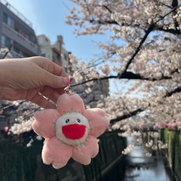 벚꽃 카이카이키키 키링 사쿠라카이카이키키 무라카미타가시