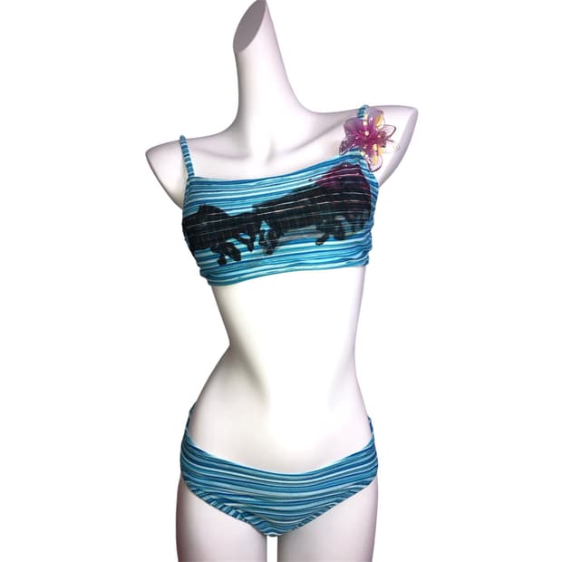 horse's beauty bikini set