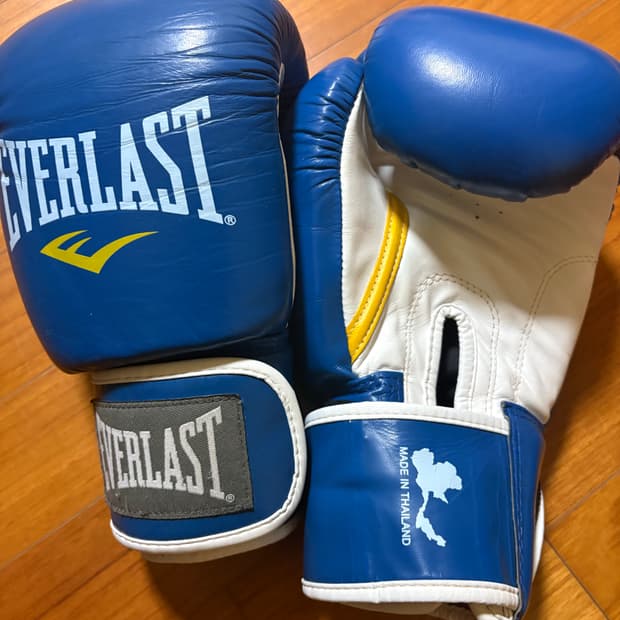 에버라스트 타이 글러브 10온스