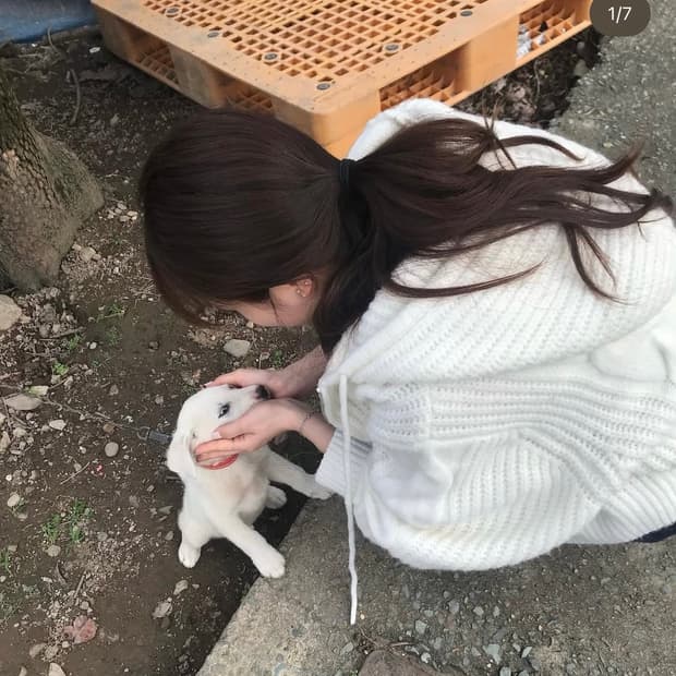 버터엣스카이 니트집업 아이보리